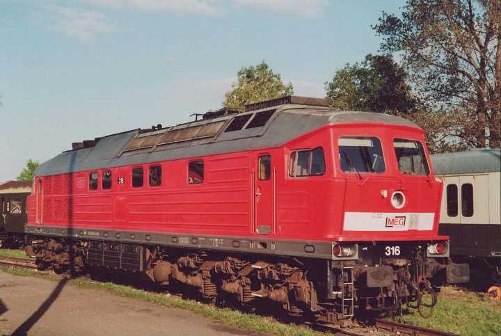 MEG 316, ©S.Kloseck