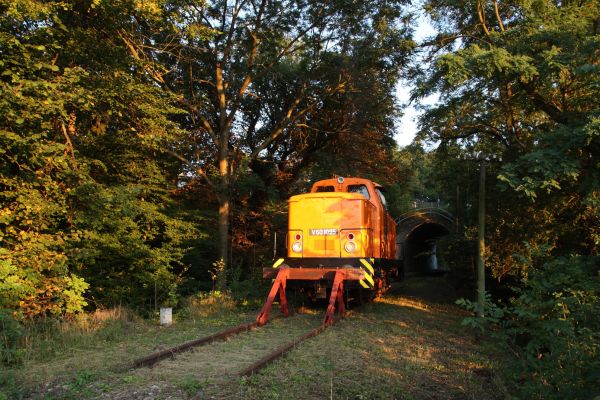 Bahnhofsfest Heiligenstadt 2011, ©Felix Jande, Heiligenstadt (740)