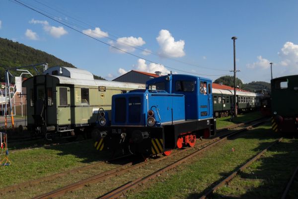 Bahnhofsfest Heiligenstadt 2011, ©Roy Mohring, Rudolstadt(481)